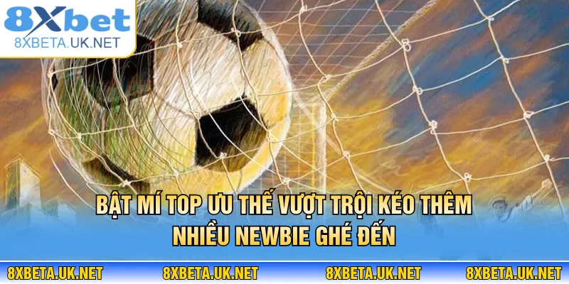 Thể Thao 8XBET - Đỉnh Cao Cược Sports Kịch Tính Nhất 2026 3 Bật mí top ưu thế vượt trội kéo thêm nhiều newbie ghé đến