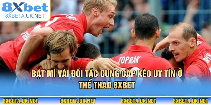Thể Thao 8XBET - Đỉnh Cao Cược Sports Kịch Tính Nhất 2026 1 Bật mí vài đối tác cung cấp kèo uy tín ở thể thao 8XBET