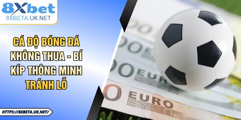 Cá Độ Bóng Đá Không Thua Và Nguyên Tắc Vàng Soi Kèo 1 Cá Độ Bóng Đá Không Thua - Bí Kíp Thông Minh Tránh Lỗ