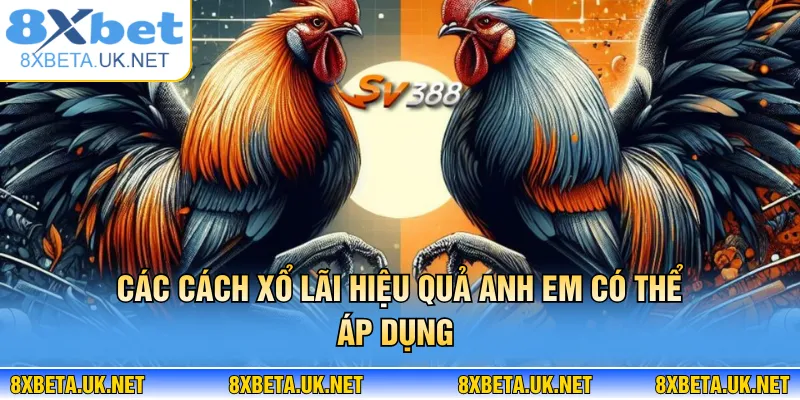 Xổ Lãi Cho Gà - Cách Nuôi Chiến Kê Đạt Phong Độ 8XBET 3 Các cách xổ lãi hiệu quả anh em có thể áp dụng