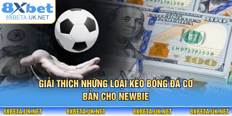 Cá Độ Bóng Đá Không Thua Và Nguyên Tắc Vàng Soi Kèo 3 Giải thích những loại kèo bóng đá cơ bản cho newbie