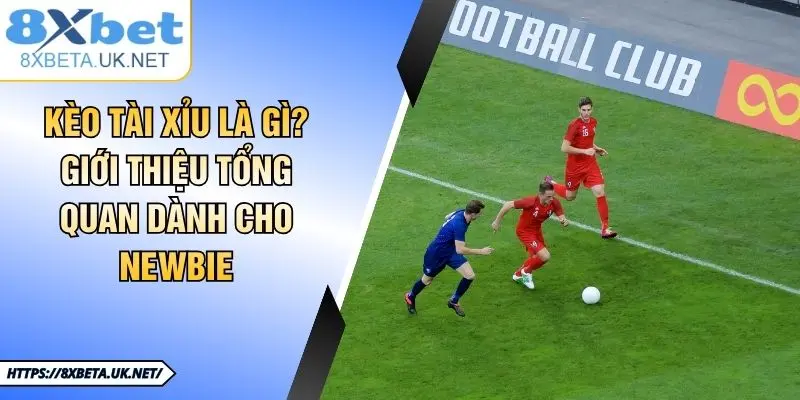 Kèo Tài Xỉu Là gì? Giới Thiệu Tổng Quan Dành Cho Newbie 1 Kèo Tài Xỉu Là gì? Giới Thiệu Tổng Quan Dành Cho Newbie