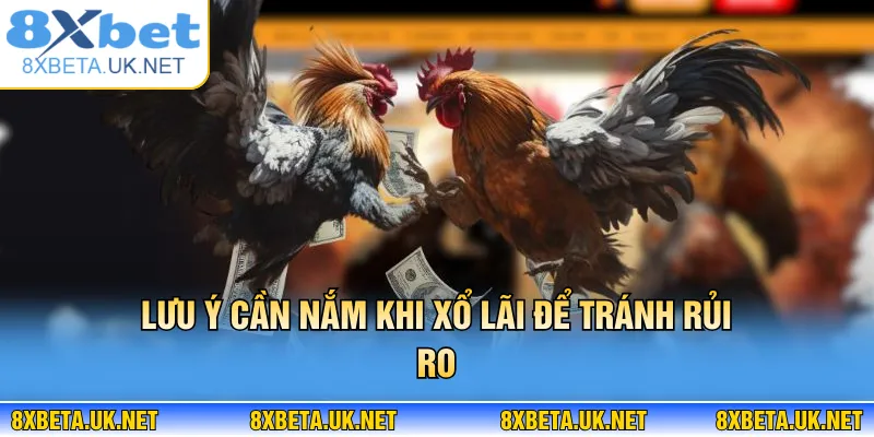 Xổ Lãi Cho Gà - Cách Nuôi Chiến Kê Đạt Phong Độ 8XBET 4 Lưu ý cần nắm khi xổ lãi để tránh rủi ro
