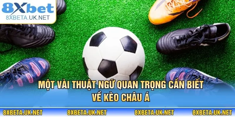 Kèo Châu Á - Hình Thức Cá Độ Được Yêu Thích Nhất Tại 8XBET 3 Một vài thuật ngữ quan trọng cần biết về kèo châu Á