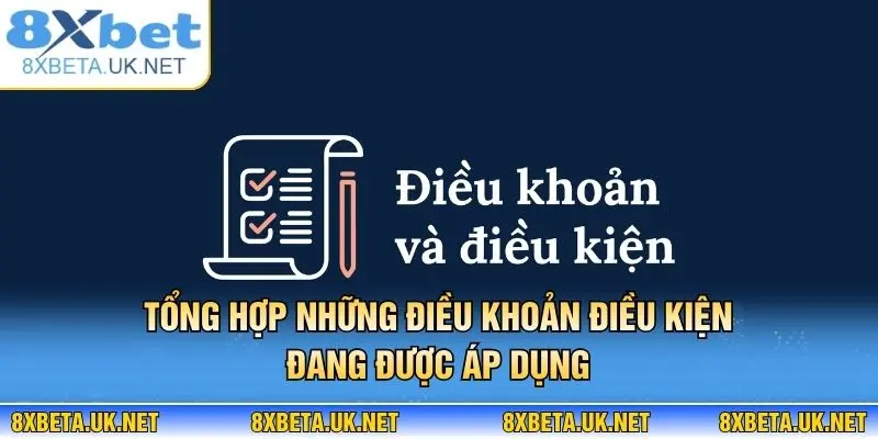 Điều Khoản Điều Kiện 2 Tổng hợp những Điều khoản điều kiện đang được áp dụng