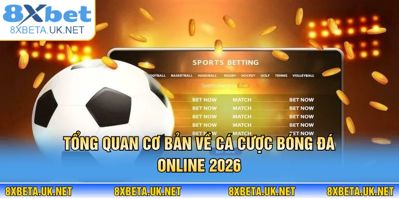 Cá Cược Bóng Đá - Chiến Thuật Chinh Phục Đa Kèo Đấu 2 Tổng quan cơ bản về cá cược bóng đá online 2026