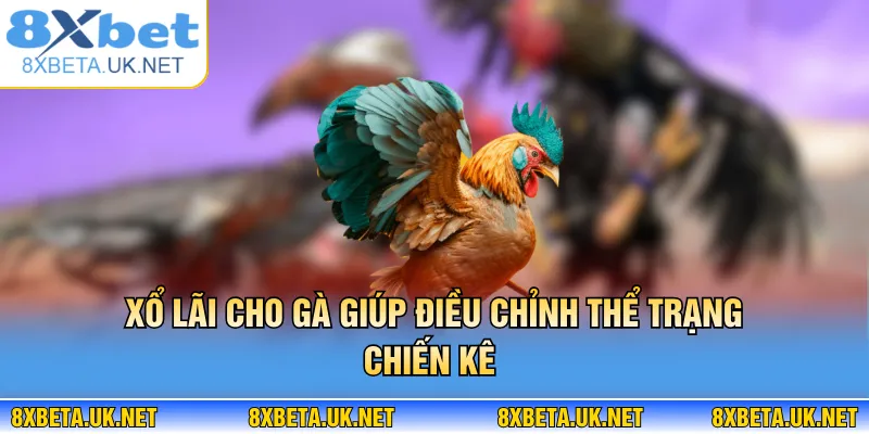 Xổ Lãi Cho Gà - Cách Nuôi Chiến Kê Đạt Phong Độ 8XBET 2 Xổ lãi cho gà giúp điều chỉnh thể trạng chiến kê