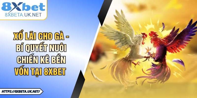 Xổ Lãi Cho Gà - Cách Nuôi Chiến Kê Đạt Phong Độ 8XBET 9 Xổ Lãi Cho Gà - Bí Quyết Nuôi Chiến Kê Bền Vốn Tại 8XBET